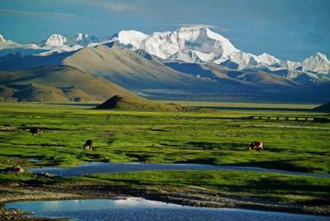 <p>The Qinghai-Tibet Plateau is known as the “roof of the world”. </p>