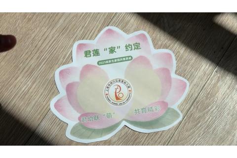君莲年终总结