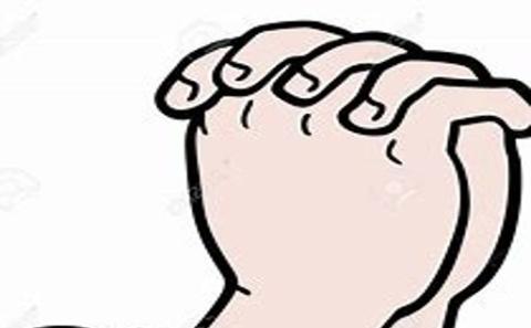 <p>看图选单词</p>