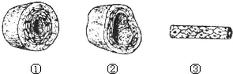 <p>冬泳因能增强心血管机能而被誉为“心血管体操”。下列关于三种血管的叙述，错误的是</p>