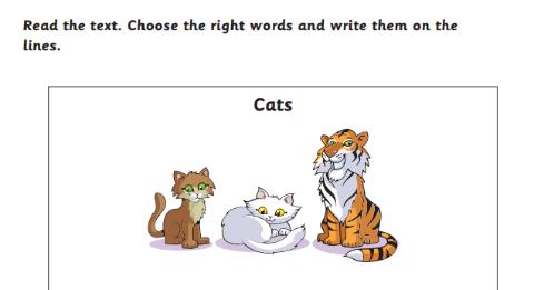 <p>Cats have (1) ............................. good eyes.</p>