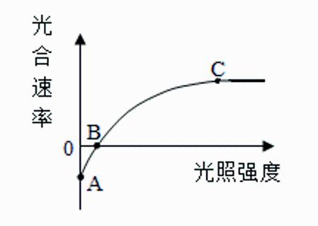 <p>图是在环境温度不变时&#xff0c;光照强度与植物光合速率关系的曲线图。下列说法错误的是&#xff08;   &#xff09;。<span data-tex=""> </span></p>