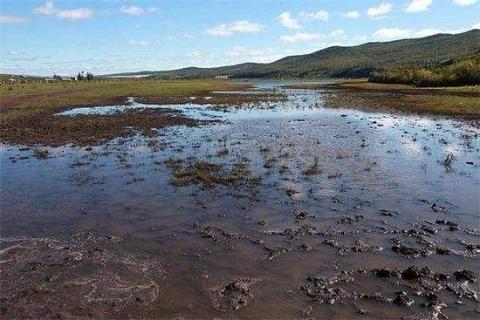 <p>what's this habitat?</p>