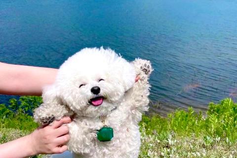 中华人民共和国未成年保护法