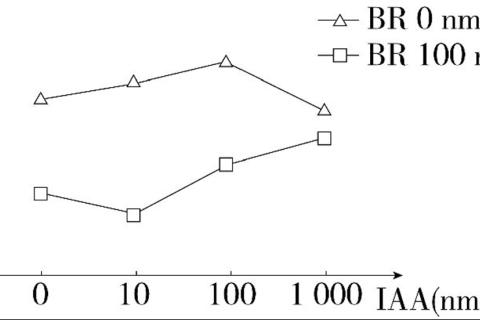 其他植物激素课堂检测