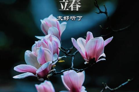 Over to you B2 U2 Text A Peview