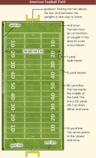 <p>Which of the following is a fact about football?</p>
