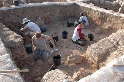 <p>This image shows a method of digging in archaeology. What is it called?</p>