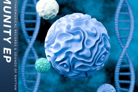 生物（盗用私募）八班专属，由八班圣物和刀法课代表联合出品
