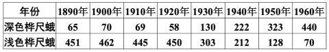 <p><strong>.在1890年至1960年，英国某地区由于工业发展，排放大量黑烟，对环境造成污染。有研究者统计了这段时间不同体色桦尺蛾的数量变化情况，如下表。下列相关分析不正确的是(　　)</strong><span data-tex=""> </span><span data-tex=""> </span></p>