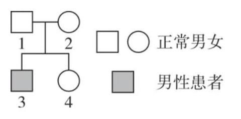 <p><strong>下图是先天性聋哑的遗传图谱，这对夫妻再生一个患病孩子的概率是 (　　)</strong> </p>