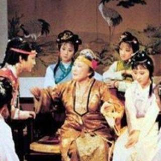 “这个妹妹我见过”这句话是谁说的？