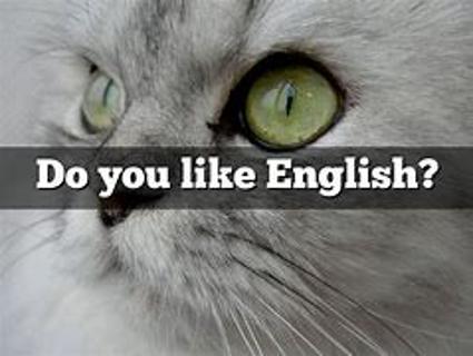<p>Do you like English?</p>
