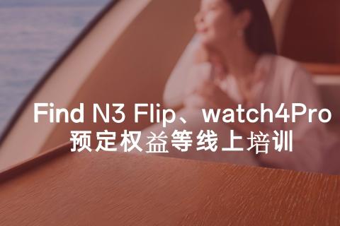 N3 flip