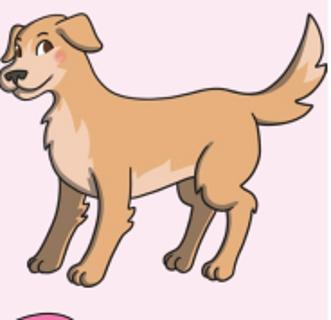 <p>What animal is it?</p>