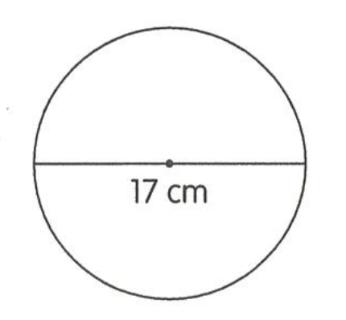 <p>Find the circumference of each circle. (Take = 3.14.)</p>