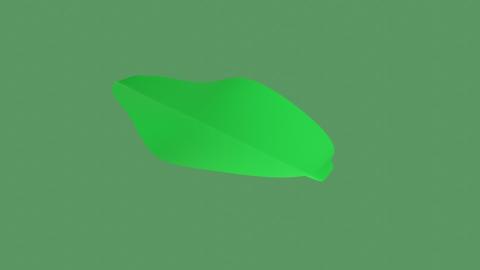 <p>15</p>