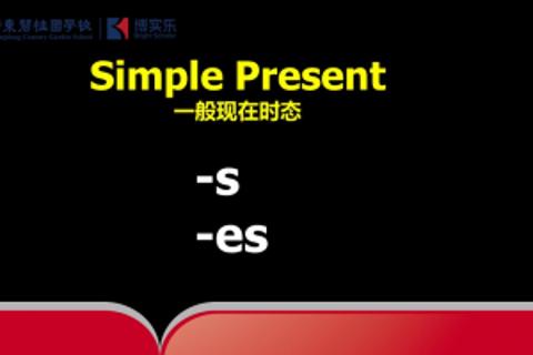 CS3 Unit 1 Grammar -s-es