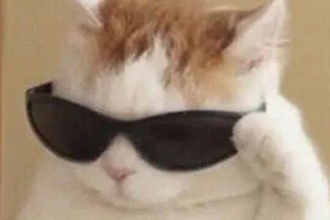 数学
