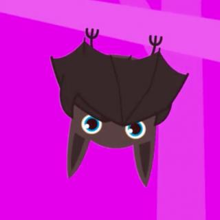 what's this?