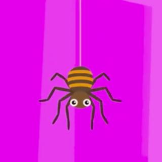 what is this?