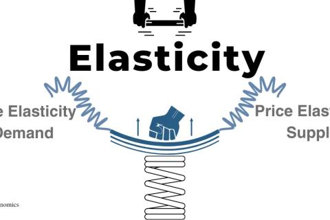Quiz Elasticity