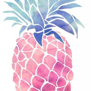 菠萝
