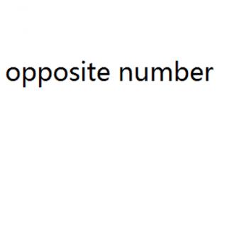 What's the meaning of 'opposite number'