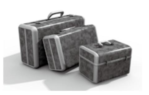 <p>下列哪个单词描述了图中的物品？</p>