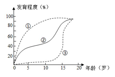 <p>下图曲线①②③分别表示脑、整个身体、生殖器官的生长发育情况。下列有关叙述错误的是</p>