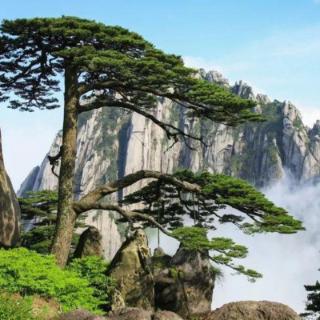 以下这一风景最有可能出现在哪个景点？
