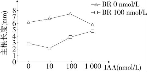 <p>油菜素内酯(BR)是 植物体内的重要激素,科研人员利用不同 浓度的BR和生长素(IAA)处理萌发的种子, 观察二者对主根伸长的影响,结果如图所示 据图可知,下列有关说法正确的是（ ）</p>