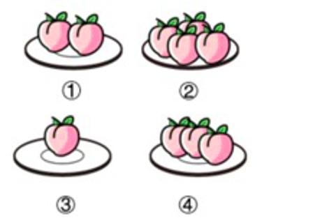 <p>加起来有6个桃子的两个盘子组合是( )。</p>