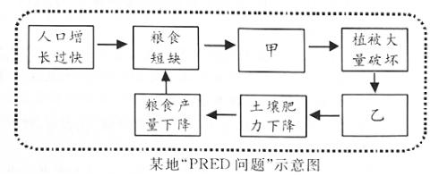<p>图中甲、乙代表的内容分别是&#xff08;　　&#xff09;</p>