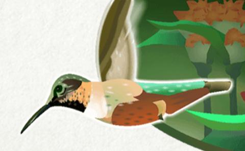 <p>What's this animal?</p>