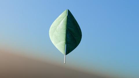 <p>16</p>