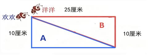 <p>欢欢沿着A图形爬行一周，洋洋沿着B图形爬行一周，它们爬行的周长（ ）长。</p>