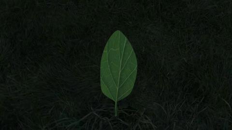 <p>请打分</p>