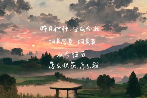 Scratch复习盲盒