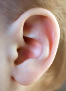 <p>Which example BEST shows the use of the sense of hearing?<span data-tex=""> </span></p>