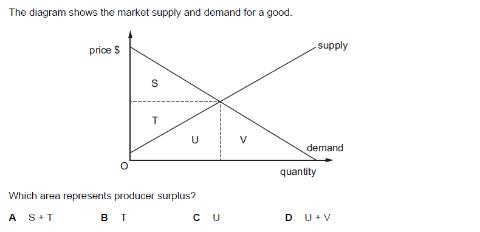 <p>The meaning and significance of consumer surplus/producer surplus</p>