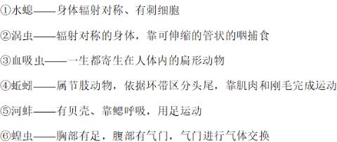 <p>下列动物与其结构、功能、特点匹配正确的有&#xff08;    &#xff09;<span data-tex=""> </span></p>