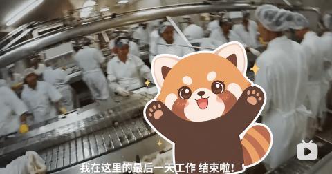 <p>我在南半球的工厂开了3个月牡蛎</p>