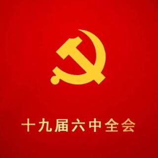党的十九届六中全会最重要的成果，是审议通过了____________________。