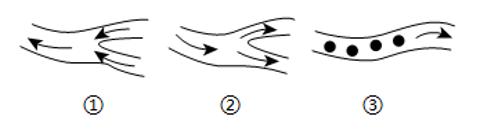 <p>如图为人体内三种类型的血管及血流方向示意图，下列有关叙述不正确的是</p>