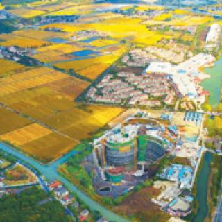 党的_______以来，中国特色社会主义进入新时代。