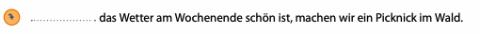 <p>weil, wenn oder denn?</p>