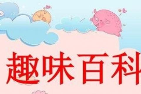 趣味百科大抢答