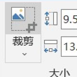 Word的裁剪工具是在（&nbsp; &nbsp; ）栏目下。