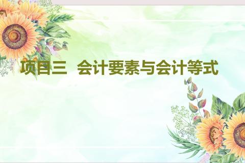 项目三  会计要素与会计等式 （一）